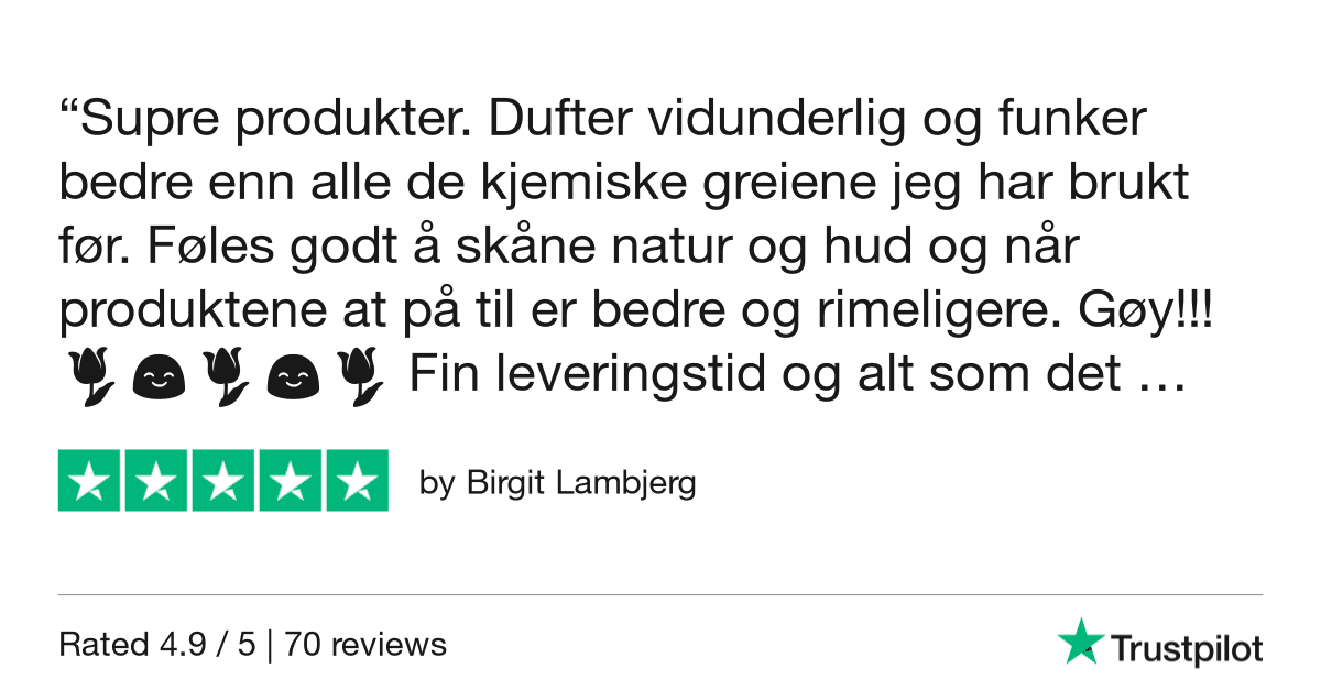 Trustpilot Review - Birgit Lambjerg